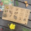Placa Natureza