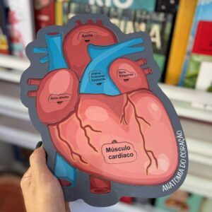 Encaixe Anatomia do Coração