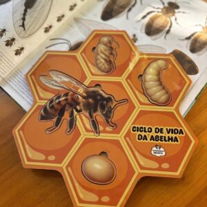 Ciclo da Vida das Abelhas