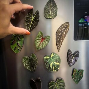 Kit Ímãs Folhagens Tropicais