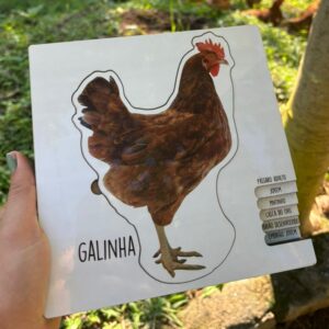 Encaixe Ciclo da Vida da Galinha